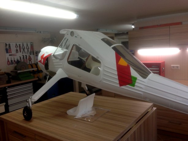 Rainers SternWilga (4)