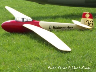 Rhoensperber - Pollack