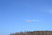 Ahnsbeck 2013 (141)