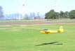 Ahnsbeck 2013 (245)