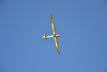 Ahnsbeck 2013 (377)