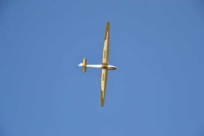 Ahnsbeck 2013 (378)