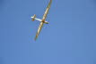 Ahnsbeck 2013 (379)