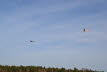 Ahnsbeck 2013 (426)