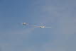 Ahnsbeck 2013 (484)