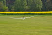 Ahnsbeck 2014 (118)
