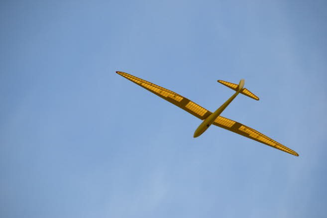 Celle-Wietze 2013 (48)