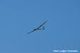 IG-Ahnsbeck26-2 Ludger Torwesten (65)