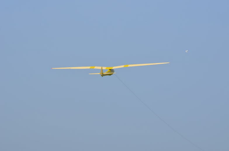 IG-Schlangen 2014 Linnartz (215)