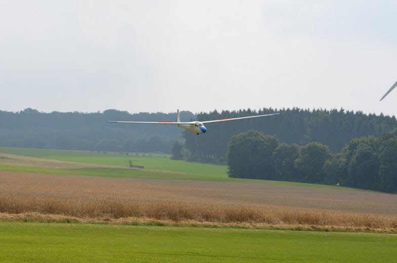 IG-Schlangen 2014 Linnartz (537)