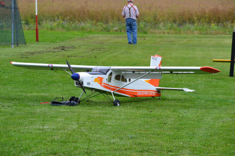 IG-Schlangen 2015 (4)