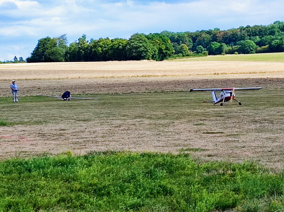 IG-Schlangen 22 Bernd Grimm (3)