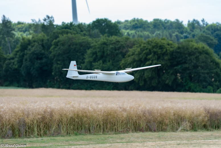 IG Schlangen 2019 Bernd G (108)