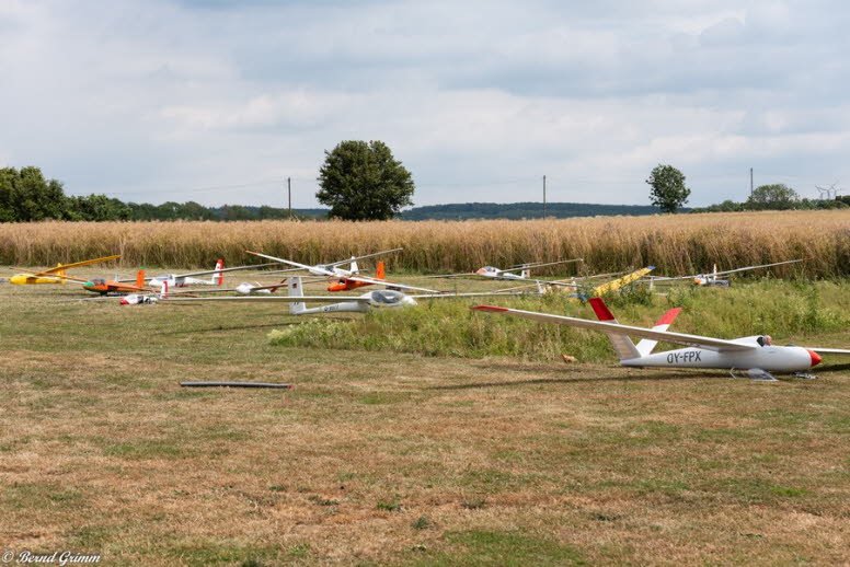 IG Schlangen 2019 Bernd G (126)