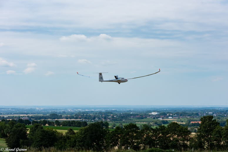 IG Schlangen 2019 Bernd G (60)