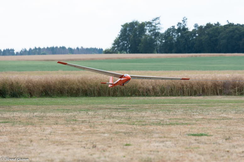 IG Schlangen 2019 Bernd G (62)