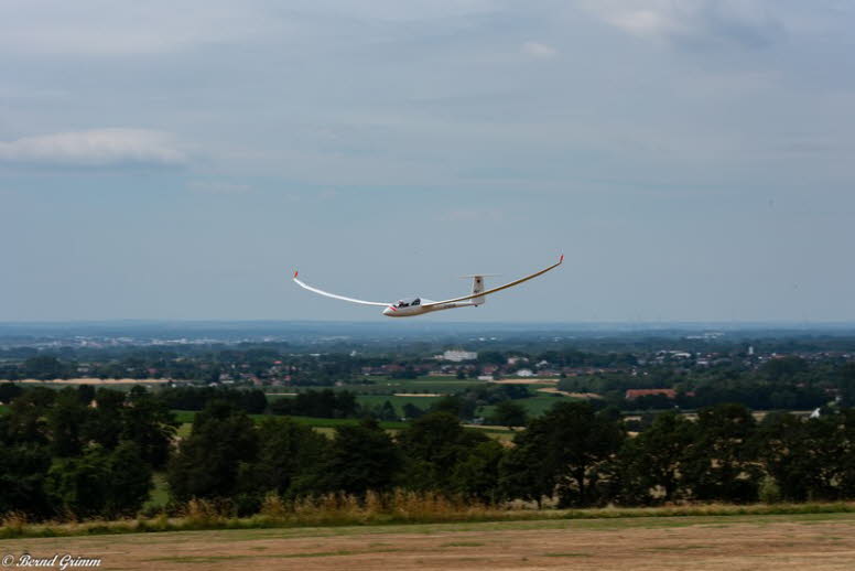 IG Schlangen 2019 Bernd G (70)