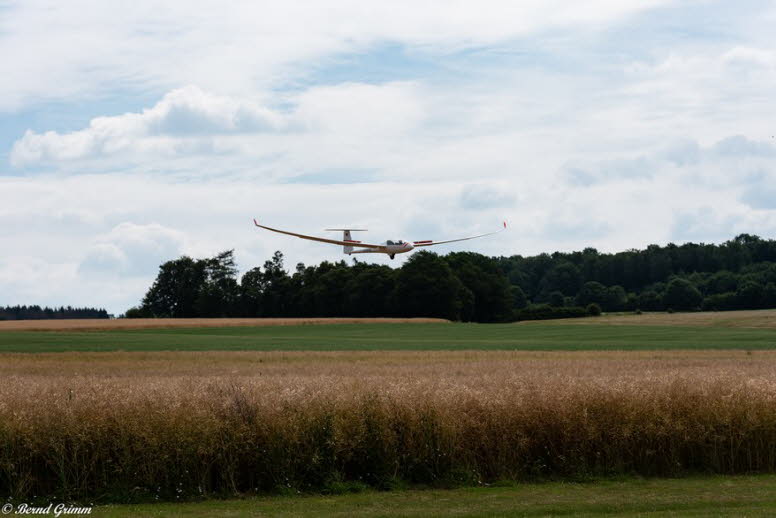 IG Schlangen 2019 Bernd G (73)