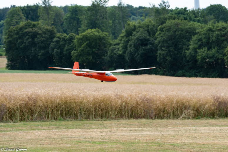 IG Schlangen 2019 Bernd G (82)