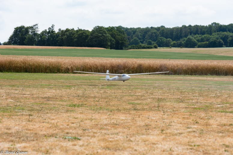 IG Schlangen 2019 Bernd G (89)