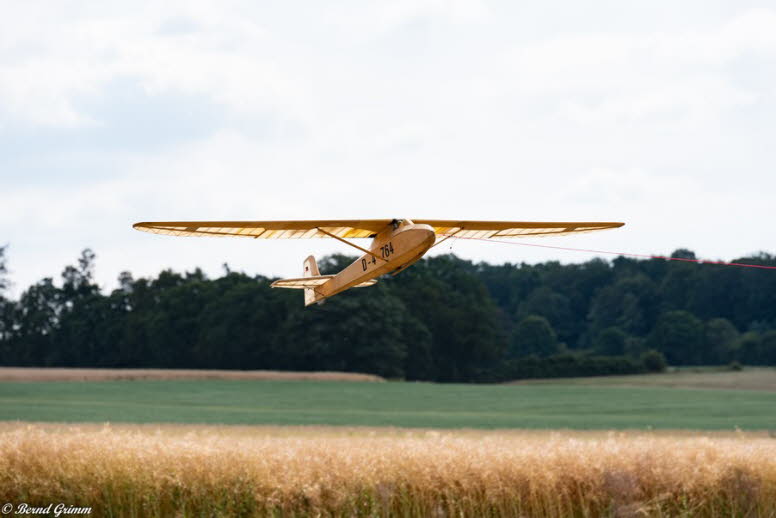 IG Schlangen 2019 Bernd G (93)