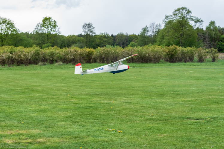 Walsrode 2019 Bernd Grimm (100)