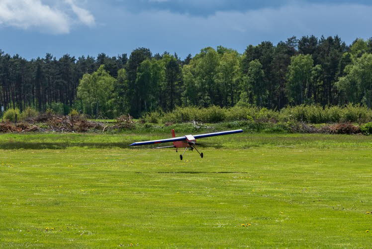 Walsrode 2019 Bernd Grimm (17)