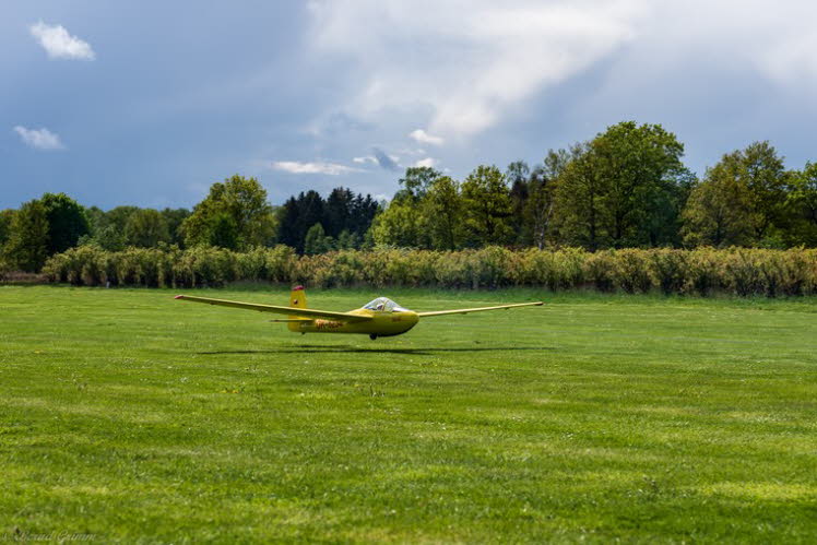 Walsrode 2019 Bernd Grimm (20)