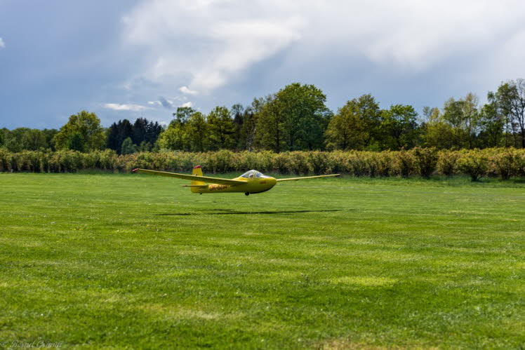 Walsrode 2019 Bernd Grimm (21)