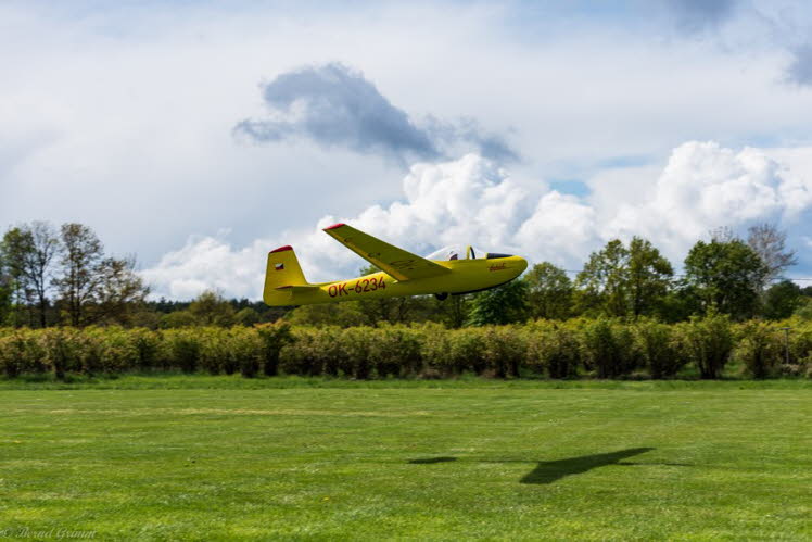 Walsrode 2019 Bernd Grimm (24)