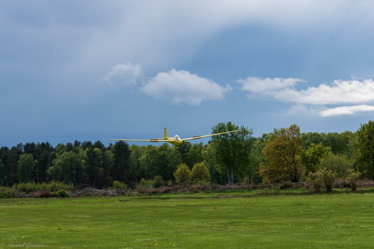 Walsrode 2019 Bernd Grimm (38)