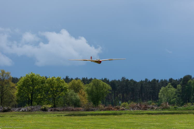 Walsrode 2019 Bernd Grimm (46)