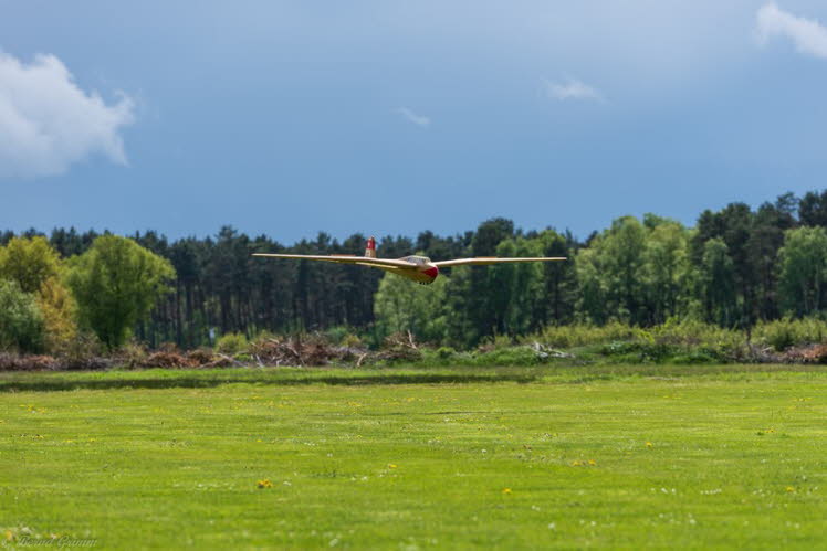 Walsrode 2019 Bernd Grimm (47)