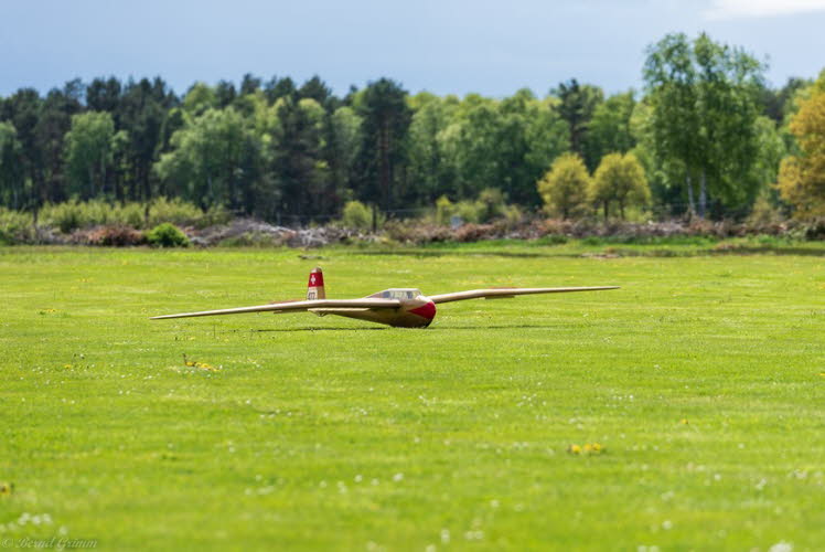 Walsrode 2019 Bernd Grimm (49)