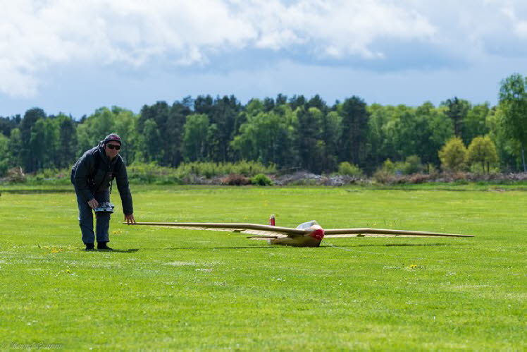 Walsrode 2019 Bernd Grimm (5)