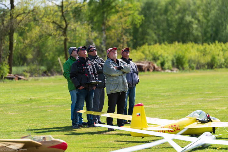 Walsrode 2019 Bernd Grimm (67)