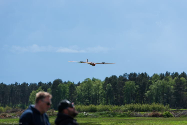 Walsrode 2019 Bernd Grimm (77)