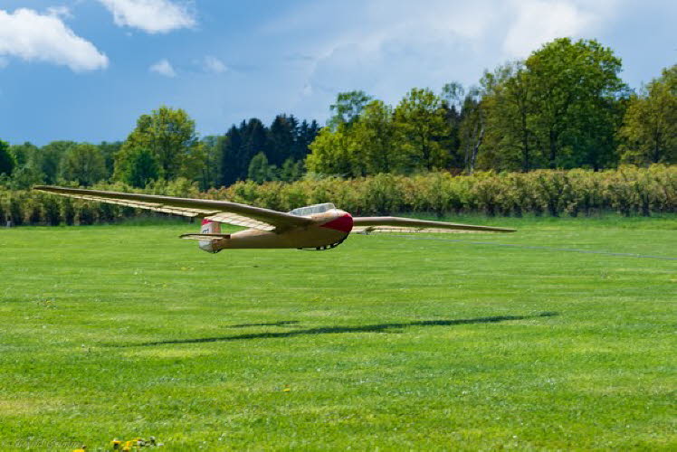 Walsrode 2019 Bernd Grimm (8)