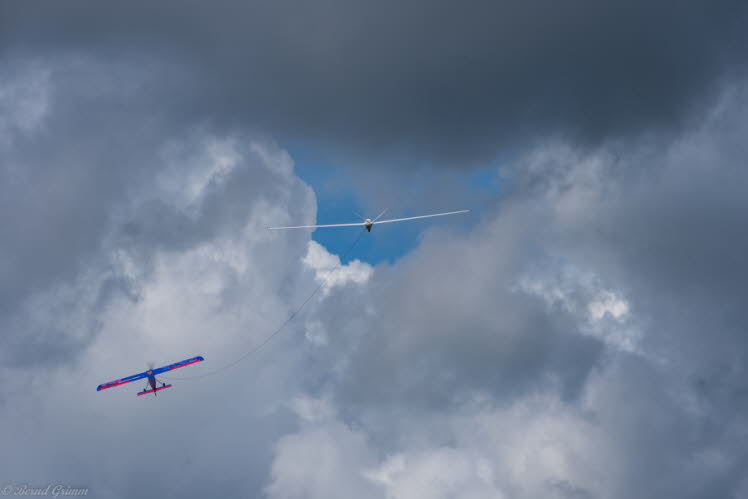 Walsrode 2019 Bernd Grimm (84)