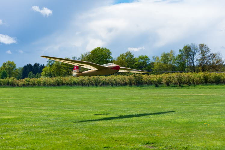 Walsrode 2019 Bernd Grimm (9)